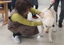 普段、仕事中の盲導犬には触れられないが、この日は触れ合いを楽しんだ