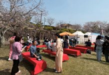 桜の下を着物姿の人々が行き交う