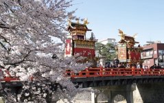 豪華絢爛な屋台が並ぶ春の高山祭