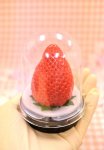 同宇都宮大学のプロジェクトで開発された、大粒完熟イチゴ用容器「フレシェル」