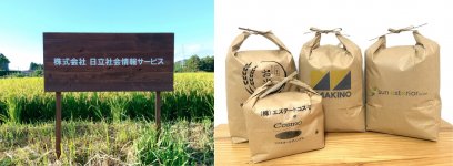 田んぼに設置するオーナー企業の看板や、オリジナルコメ袋の製作もNeweZが手掛ける