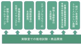 植物工場が生む立体的な農業事業展開
年間約２億円の農業事業の内訳は、レタス販売約8000万円、障がい者雇用支援約8000万円、エディブルフラワー販売約3000万円など。単一品目に依存しない事業構造が強みとなっている
出典：旭テクノプラントの図版を基に編集部が作成