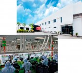 同社マレーシア工場では、基板実装や部品加工、組み立てなど量産品を製造