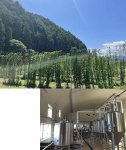 ホップ農家から醸造・販売までこなす