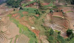 地すべりが頻発するベトナム北部で行ったＪICAの案件化調査