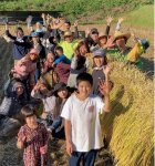 自社の田んぼで稲刈りを行う同社スタッフと友人家族