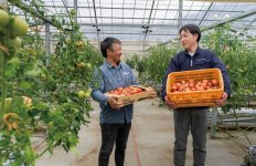 全国の生産者とスーパーなどの小売店を結ぶ同社。長野県内の野菜や果物も各地へ出荷している