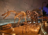 福井県立恐竜博物館は昨年７月にリニューアルオープンし、見どころも増えた（写真提供：福井県立恐竜博物館）