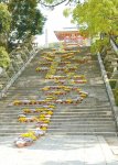 長い石階段をうまく利用した花文字「幸せます」で観光客をおもてなし