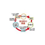 有田町の活性化サイクル