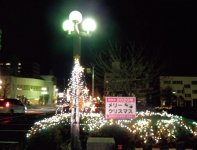 クリスマス気分を盛り上げた駅前のツリー