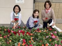 バラの花を摘み取りポプリに活用