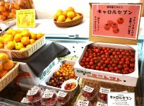 みかんやミニトマトを販売