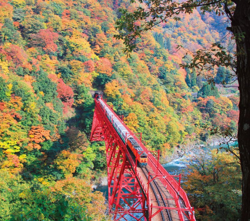 日本の美景 紅葉入り交じる黒部峡谷を縫うように走るトロッコ電車 富山県 黒部市 日商 Assist Biz